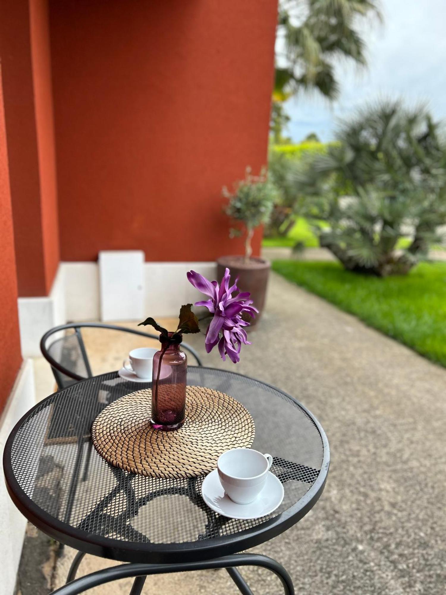 Ivni Apartmani Novigrad Istria Exteriör bild